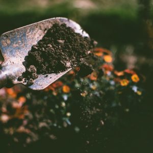 person-digging-on-soil-using-garden-shovel-1301856
